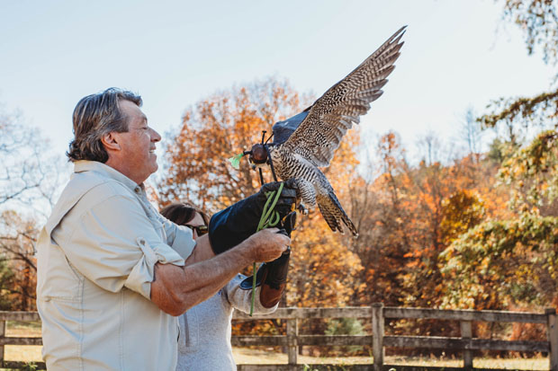 : Falconer Gifts for Men Falcons Clothes for Women